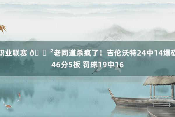 职业联赛 😲老同道杀疯了！吉伦沃特24中14爆砍46分5板 罚球19中16