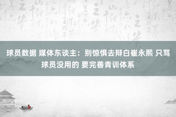 球员数据 媒体东谈主：别惊惧去辩白崔永熙 只骂球员没用的 要完善青训体系