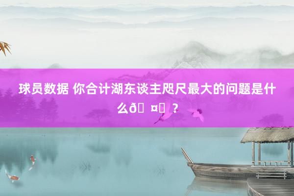 球员数据 你合计湖东谈主咫尺最大的问题是什么🤔？