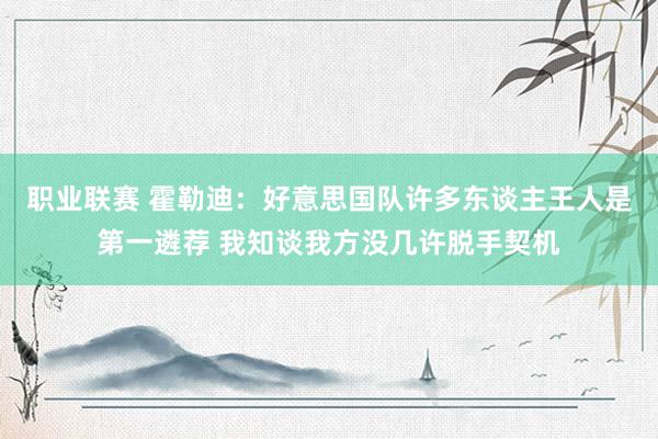 职业联赛 霍勒迪：好意思国队许多东谈主王人是第一遴荐 我知谈我方没几许脱手契机