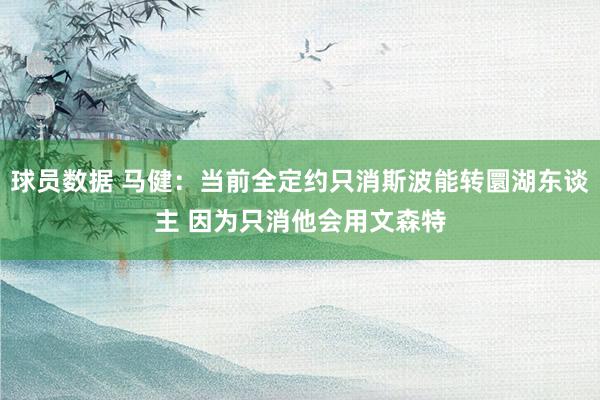 球员数据 马健：当前全定约只消斯波能转圜湖东谈主 因为只消他会用文森特