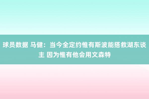 球员数据 马健：当今全定约惟有斯波能搭救湖东谈主 因为惟有他会用文森特