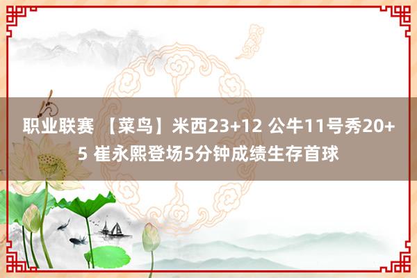 职业联赛 【菜鸟】米西23+12 公牛11号秀20+5 崔永熙登场5分钟成绩生存首球