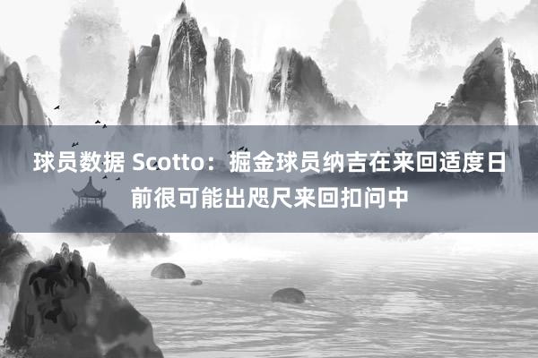 球员数据 Scotto：掘金球员纳吉在来回适度日前很可能出咫尺来回扣问中