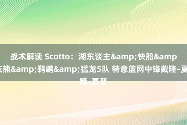 战术解读 Scotto：湖东谈主&快船&灰熊&鹈鹕&猛龙5队 特意篮网中锋戴隆-夏普