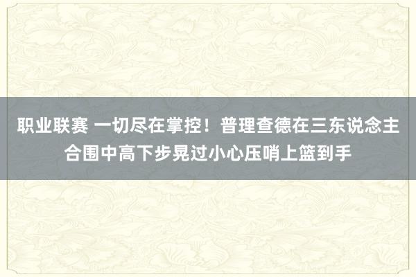 职业联赛 一切尽在掌控！普理查德在三东说念主合围中高下步晃过小心压哨上篮到手