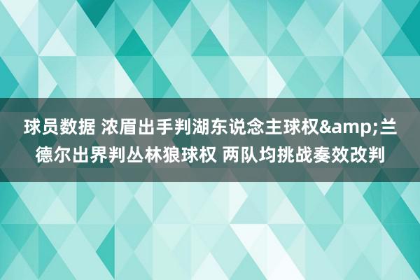 球员数据 浓眉出手判湖东说念主球权&兰德尔出界判丛林狼球权 两队均挑战奏效改判