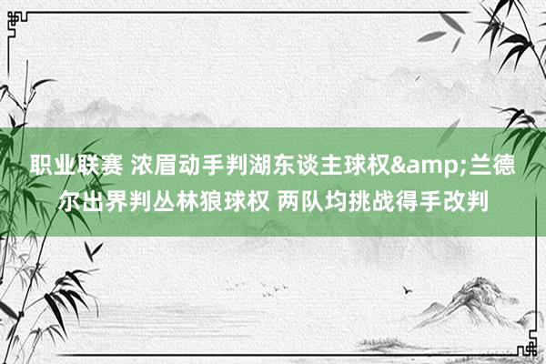 职业联赛 浓眉动手判湖东谈主球权&兰德尔出界判丛林狼球权 两队均挑战得手改判