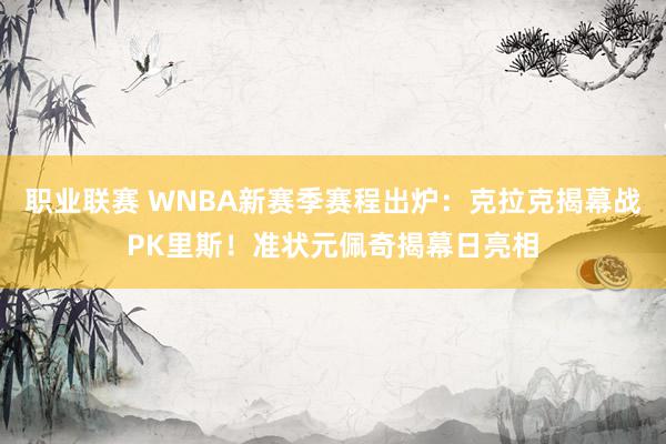 职业联赛 WNBA新赛季赛程出炉：克拉克揭幕战PK里斯！准状元佩奇揭幕日亮相